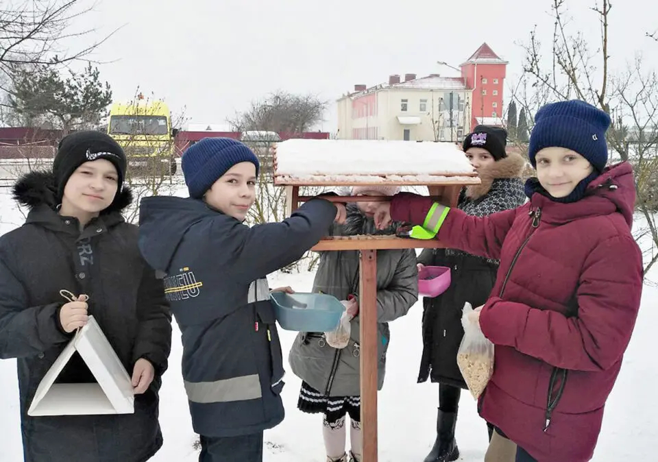 Помогаем перезимовать пернатым